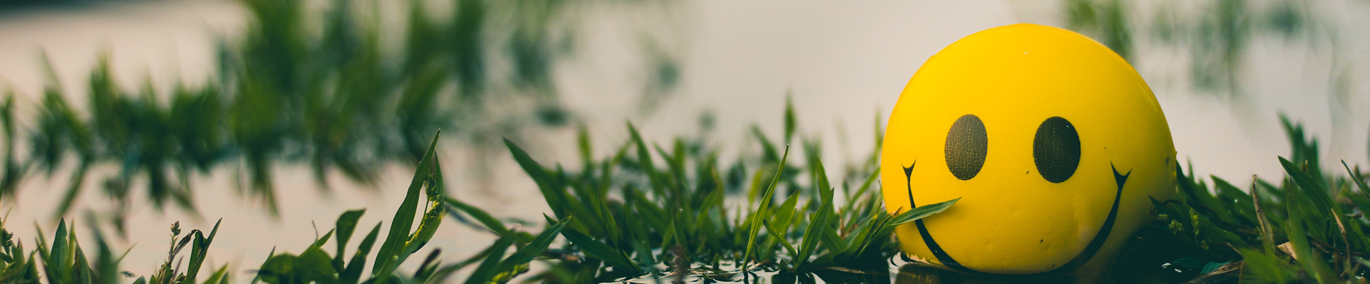 customer satisfaction csat