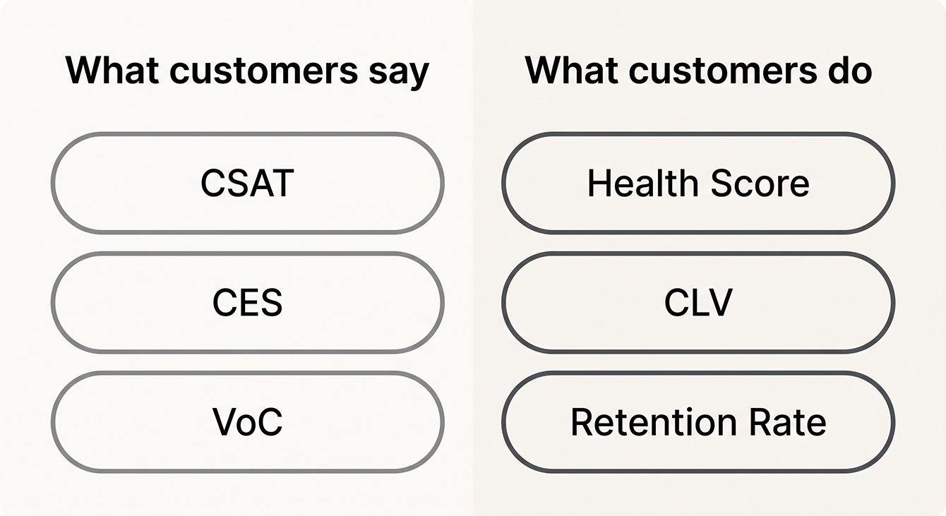 Six NPS alternatives grouped into perception metrics and behavioral metrics.
