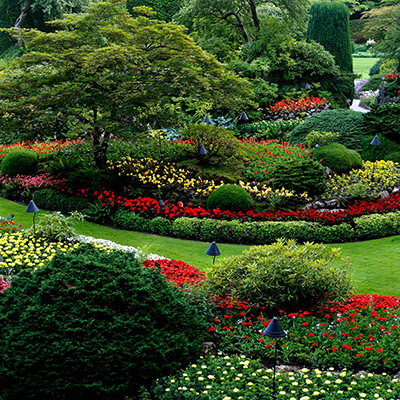 review software for home services