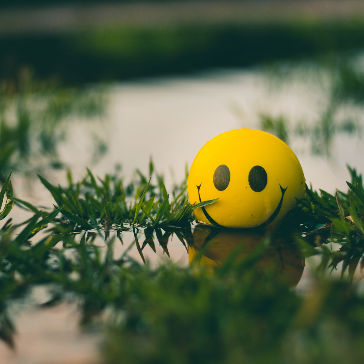 ahmed zayan smiley face