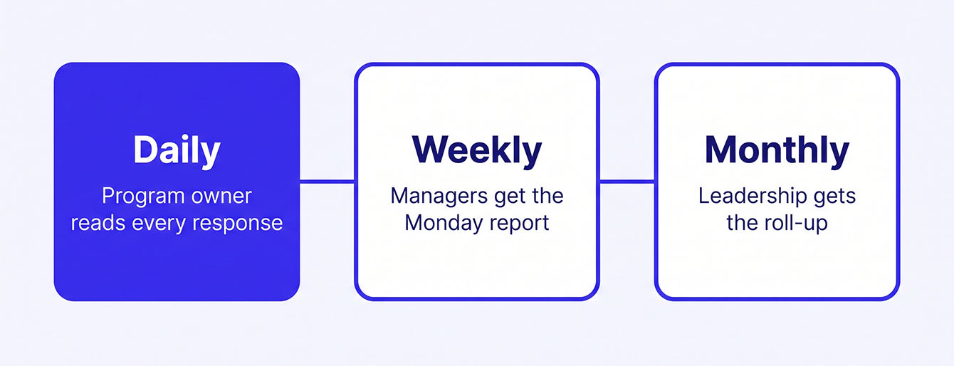 A VoC reporting cadence chart showing weekly, monthly, and quarterly updates for ops, location managers, and leadership.